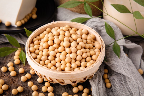 摄图网_501040784_有机大豆黄豆（企业商用）.jpg