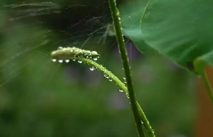 武汉梅雨季节是什么时间20232