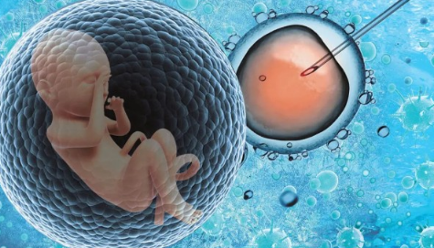 试管婴儿90%不是自己的吗2