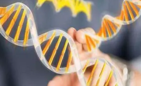 偷偷做亲子鉴定违法吗3