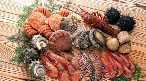 8月份青岛海鲜什么应季2