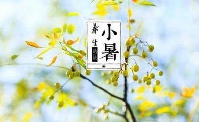 小暑节气的祝福短信(小暑节气)