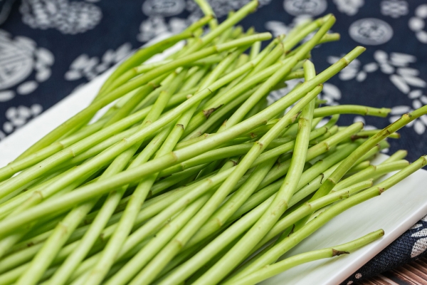 藜蒿的功效与作用、禁忌和食用方法