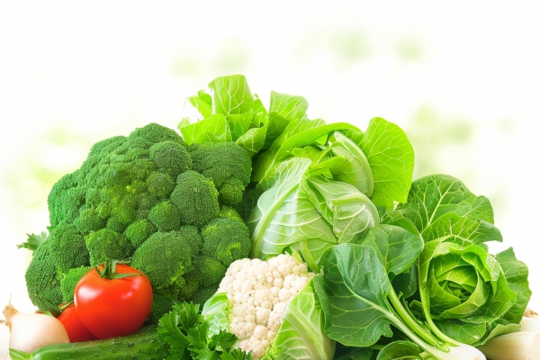 冬寒菜的功效与作用、禁忌和食用方法