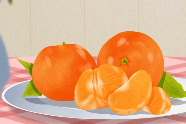砂糖橘的功效与作用