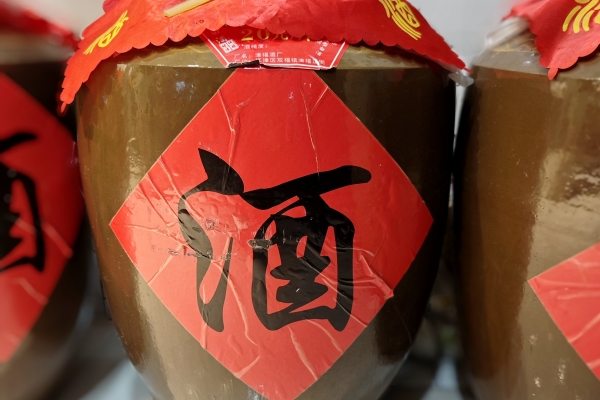 桑葚不能和什么一起吃