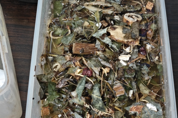 黑顺片熬药会掉颜色吗