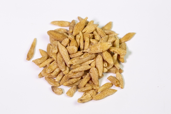 麦冬泡水一天喝几次