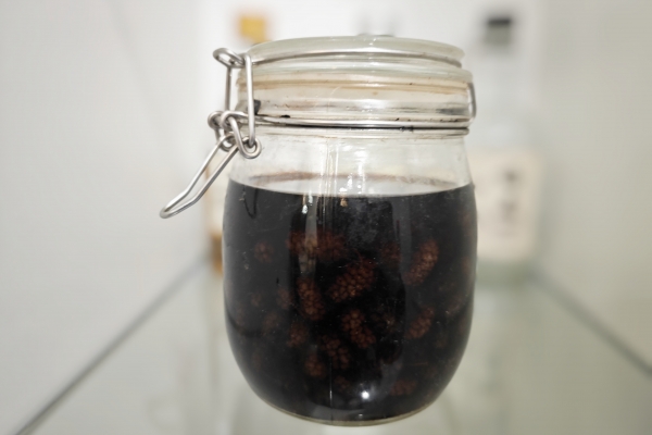 桑葚枸杞泡酒的功效与作用