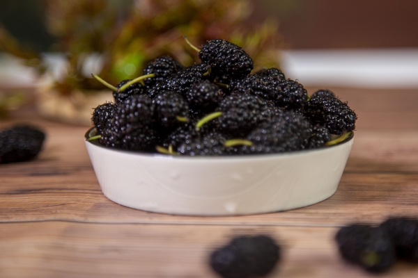 桑葚有什么功效