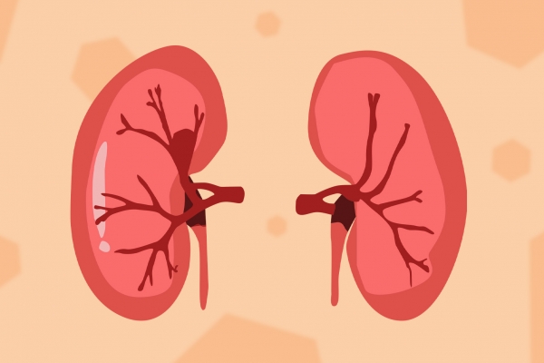 熟地黄可以清蒸吗，怎么吃