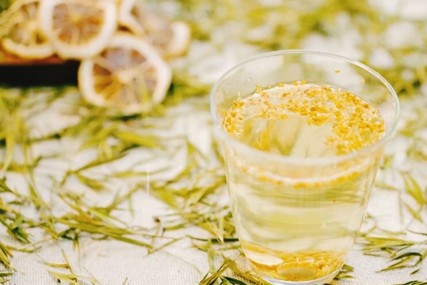 大叶茶的功效与作用有哪些