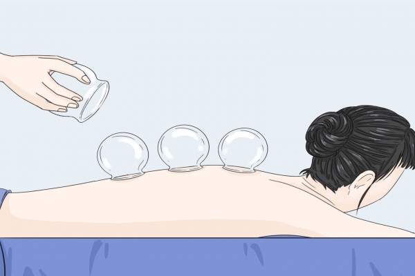 老鹤草和老鹳草的区别有哪些