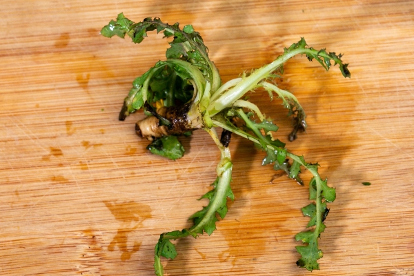 荠菜饺子馅怎么调