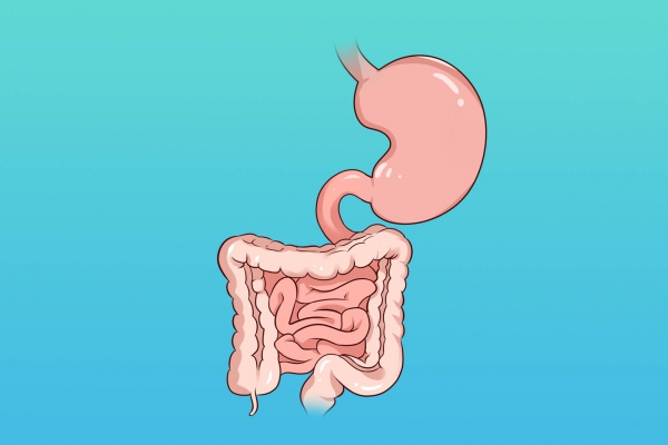 为什么酸角吃多了拉稀