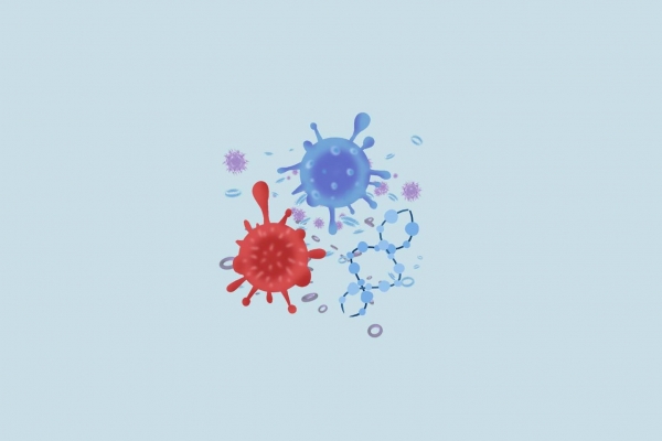 白头翁可以治疗疟疾吗
