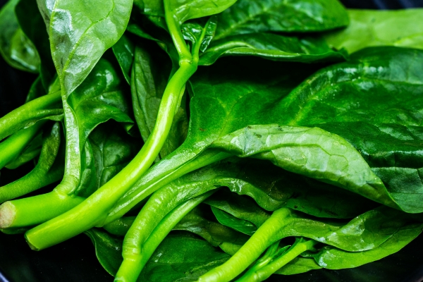 炒木耳菜怎么炒