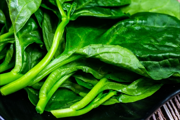 木耳菜是什么菜