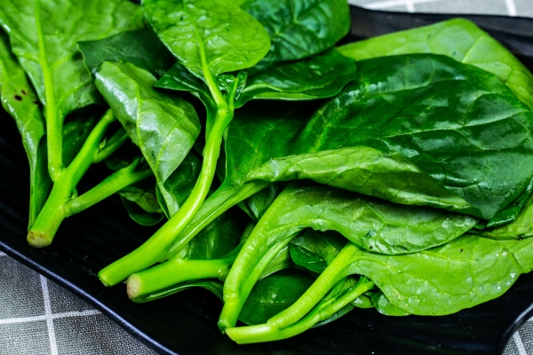 木耳菜热量