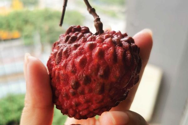 荔枝干是热性还是凉性