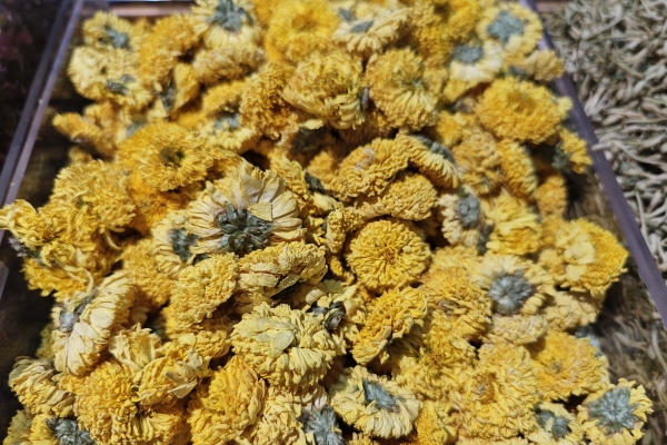 荔枝叶的功效与作用有哪些