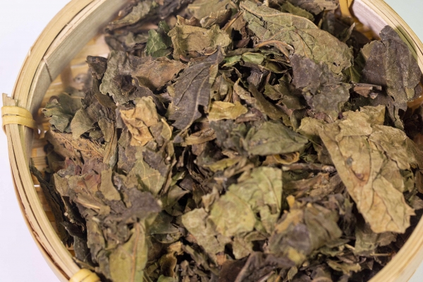 苏子叶是桑叶吗