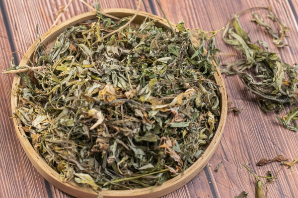 三伏灸是什么意思