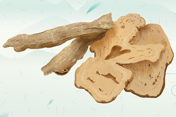 当归泡水喝有什么功效