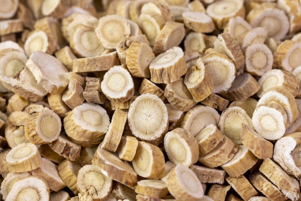 当归可以和黄芪一起泡茶吗