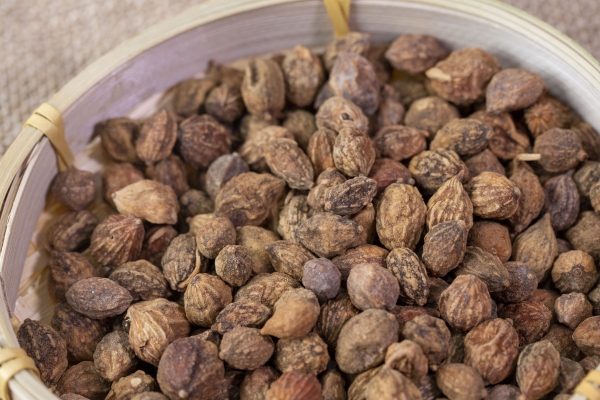 益智仁对阿尔茨海默病患者有帮助吗