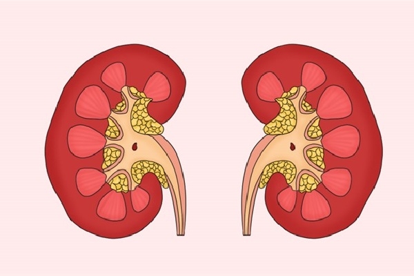 补肾能改善性功能吗
