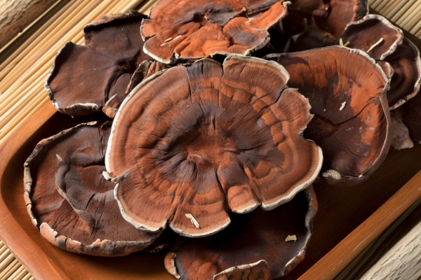 孢子粉有什么功效