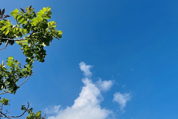 湿气重晒太阳有用吗