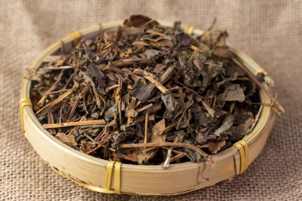 鱼腥草煮水喝的功效有哪些