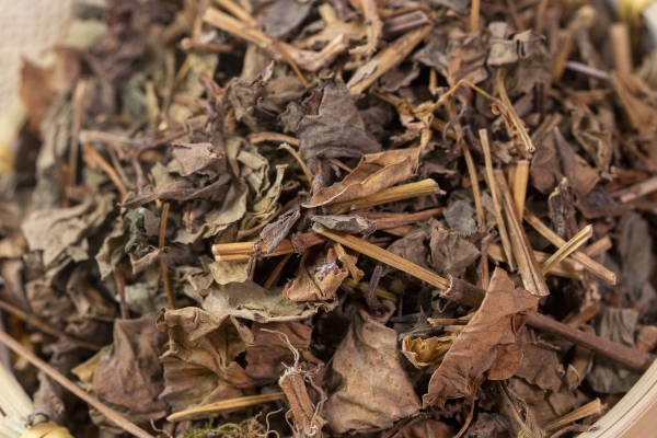 鱼腥草煮水喝的功效有哪些