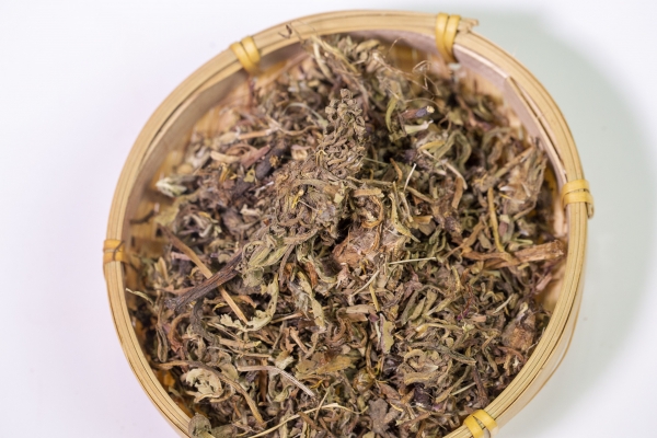 蒲公英根茶的功效有哪些